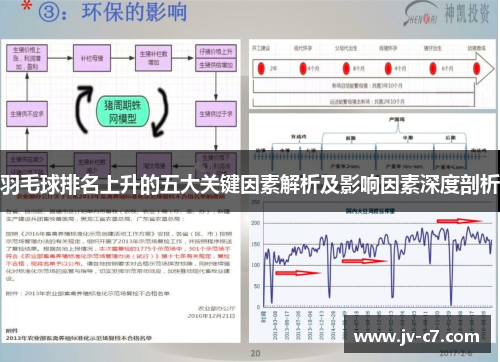 羽毛球排名上升的五大关键因素解析及影响因素深度剖析