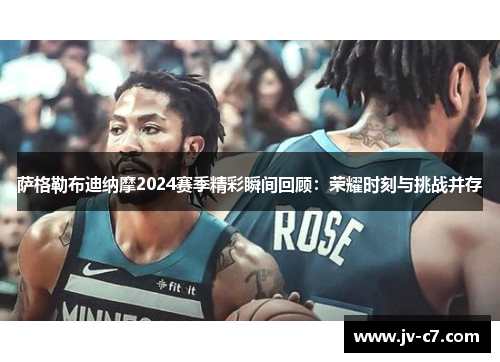 萨格勒布迪纳摩2024赛季精彩瞬间回顾：荣耀时刻与挑战并存