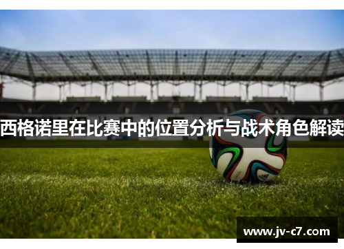 西格诺里在比赛中的位置分析与战术角色解读