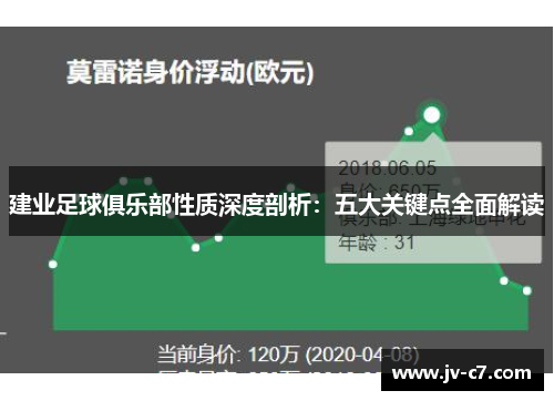 建业足球俱乐部性质深度剖析：五大关键点全面解读
