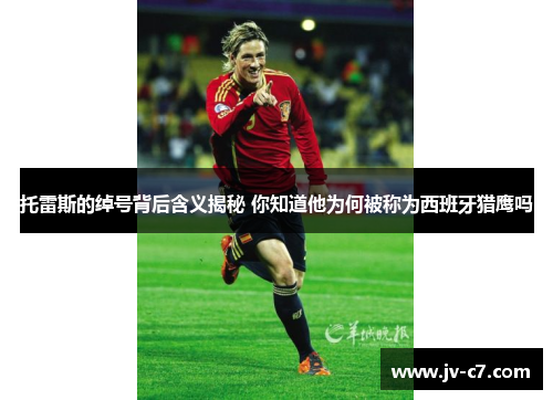 托雷斯的绰号背后含义揭秘 你知道他为何被称为西班牙猎鹰吗