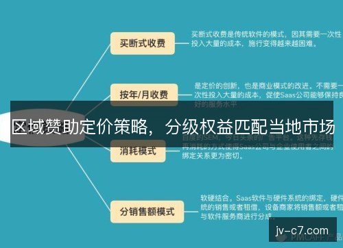 区域赞助定价策略，分级权益匹配当地市场